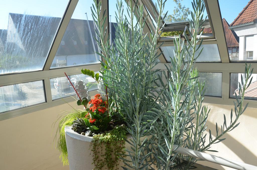 Ortel Gmbh Отель 2*